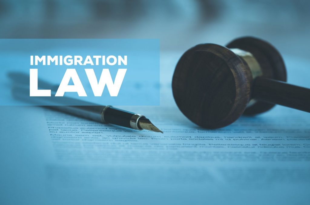 immigration lawyer